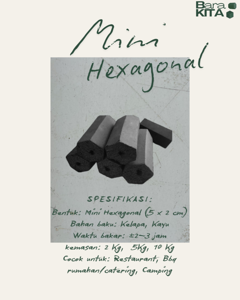 briket mini hexagonal
